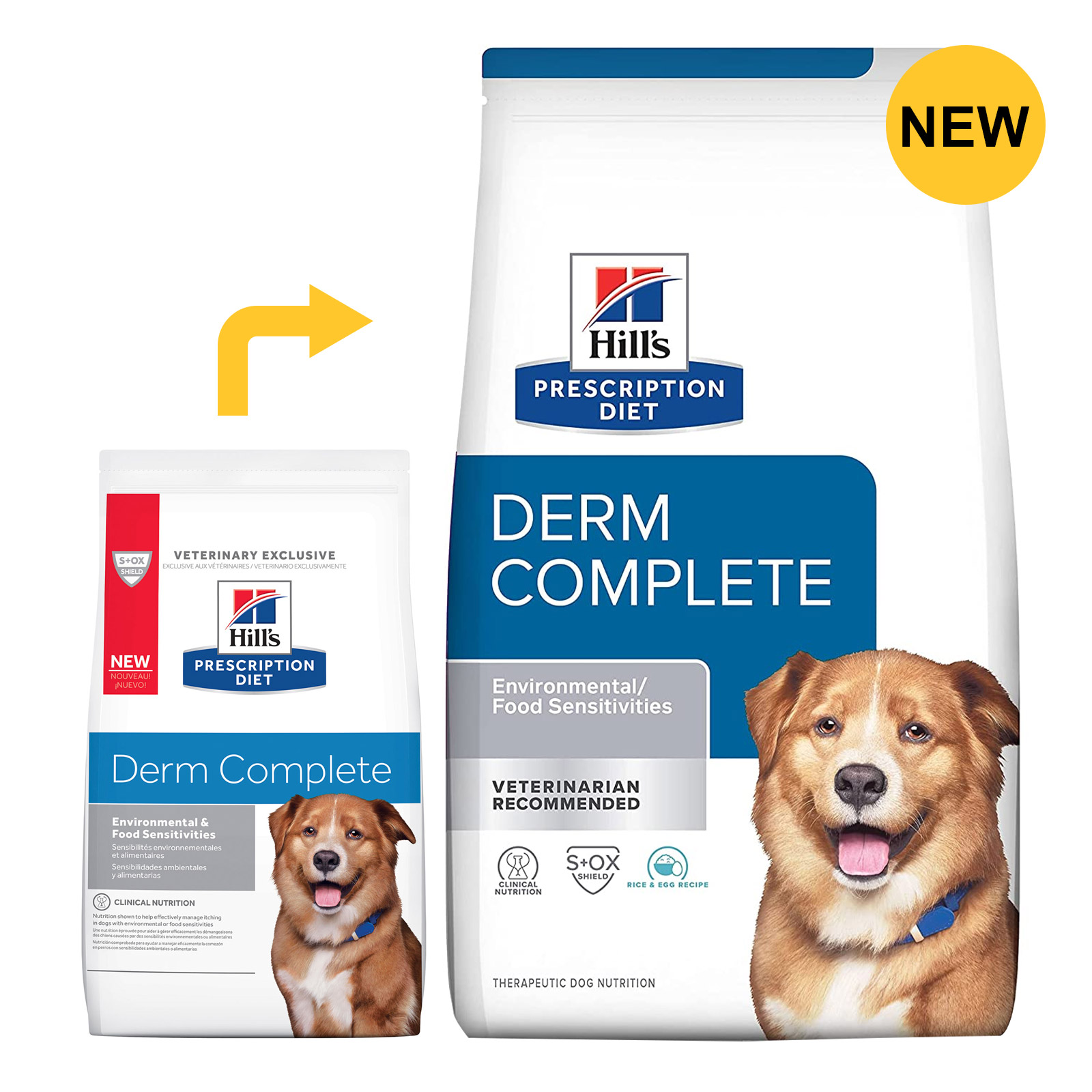 Hill's Prescription Diet Derm Complete Dry Dog Food for Food Supplies