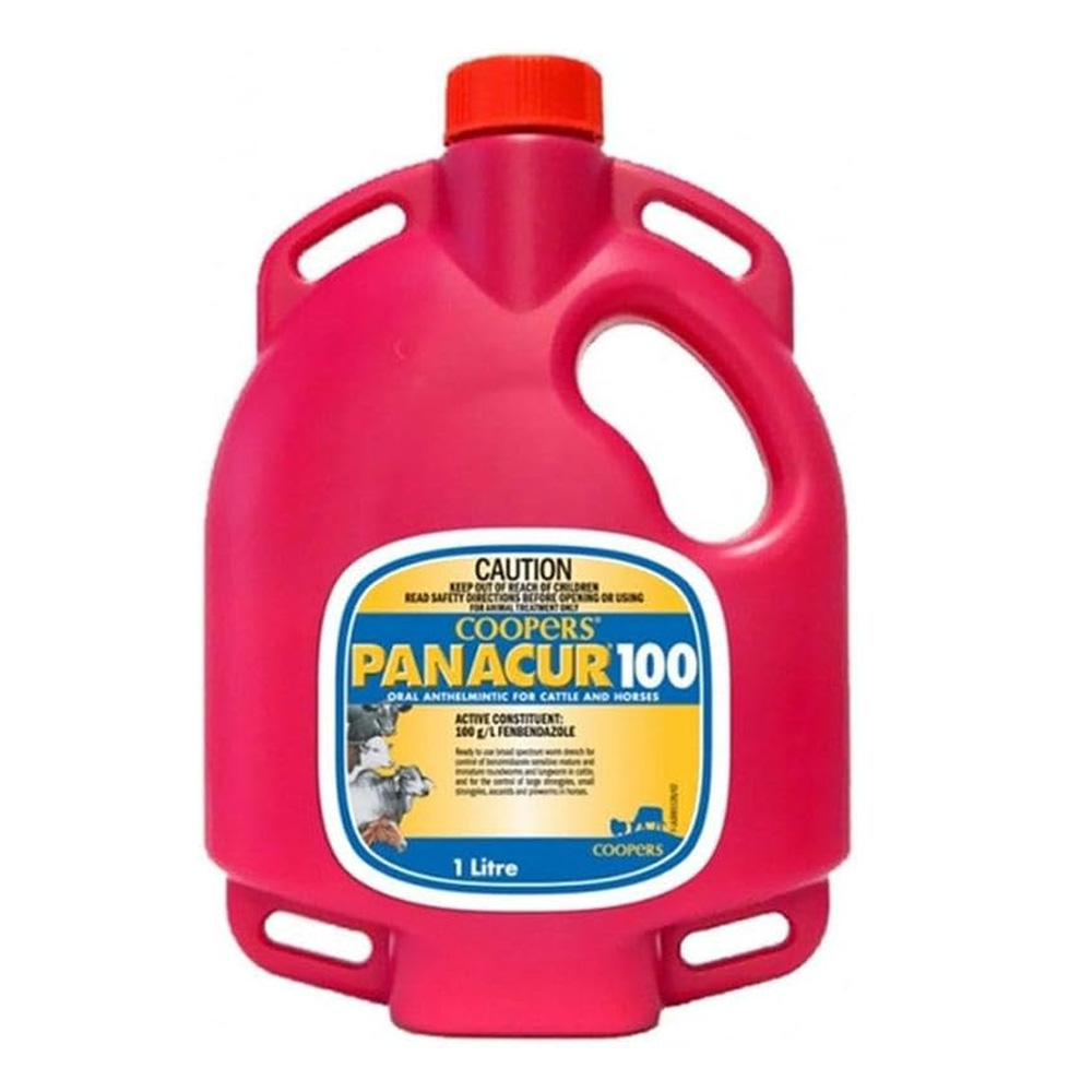 Coopers Panacur 100 Oral Anthelminitic For Cattle & Horses for Horse