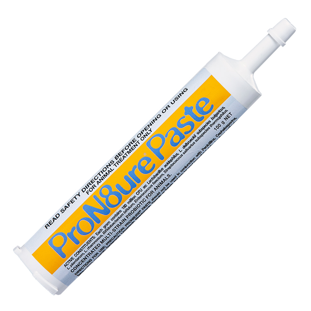 Pron8ure (Protexin) Paste 100 Gm