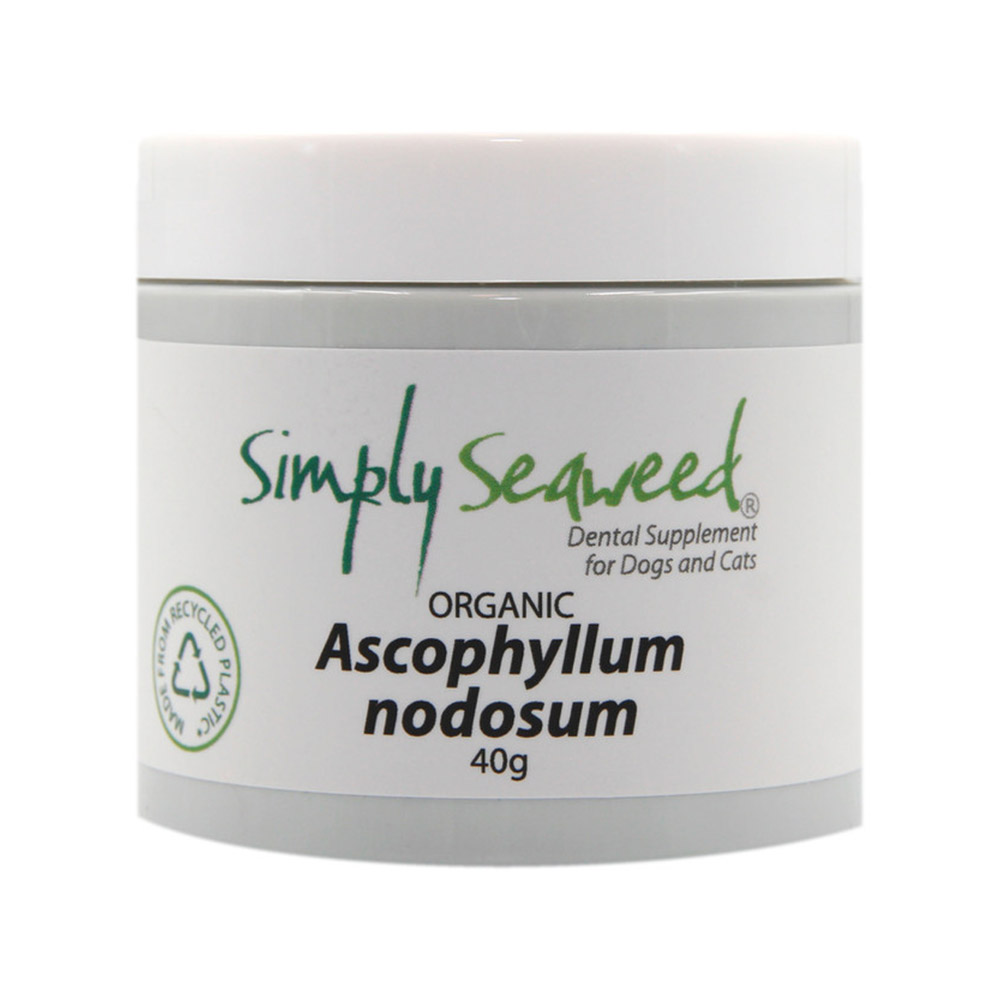 Simply Seaweed Natural Dental Supplement for Dogs