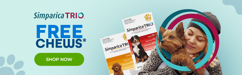 Simparica Trio