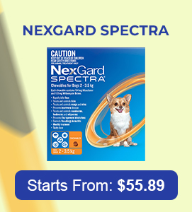 Nexgard Spectra for Dog