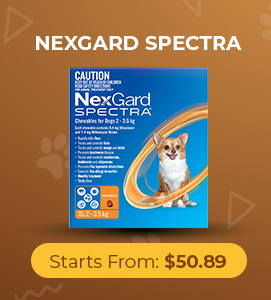 Nexgard Spectra for Dog