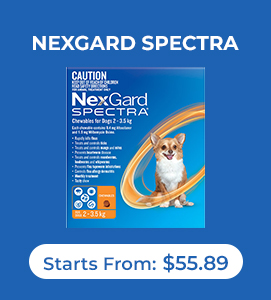 Nexgard Spectra for Dog
