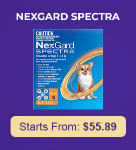 Nexgard Spectra for Dog