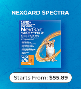 Nexgard Spectra for Dog