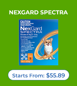 Nexgard Spectra for Dog
