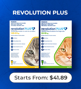 Revolution-plus