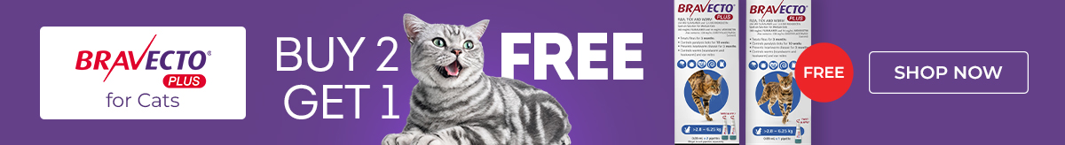 Offer Banner