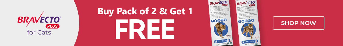 Bravecto Cats 2 plus 1 offer