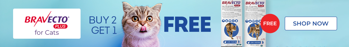 Offer Banner