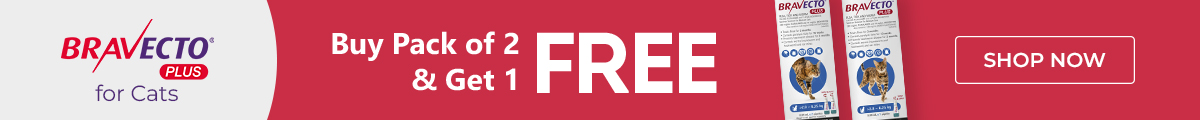 Bravecto Sale