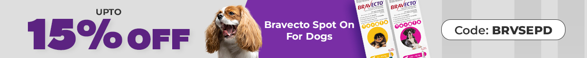 Bravecto Sale