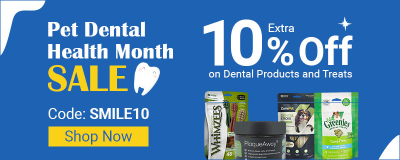 Pet Dental Health Month