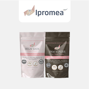Ipromea