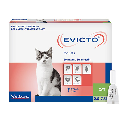 Buy Evicto Spot-on for Cats Online at lowest Price in ...