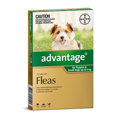 flea treatment for puppies 7 weeks advantage for dogs cheap advantage flea treatment for dogs flea treatment for puppies 7 weeks advantage for dogs cheap advantage flea treatment for dogs