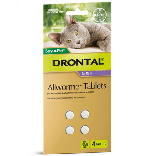 Drontal Allwormer for Cats and KittensCat Worming Tablets & Wormers Online