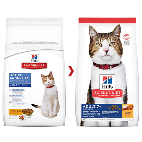 hills cat dry food