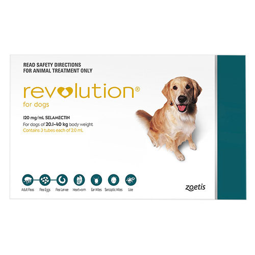 Revolution For Dogs Revolution Flea Treatment For Dogs Online