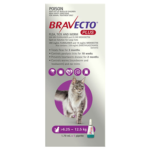 Bravecto Plus for Cats Allinone spoton treatment for your cat