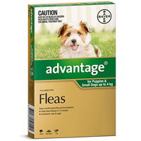 advantage plus for dogs advantix for dogs advantix flea tick treatment for dogs cheap advantix advantage plus for dogs advantix for dogs advantix flea tick treatment for dogs cheap advantix